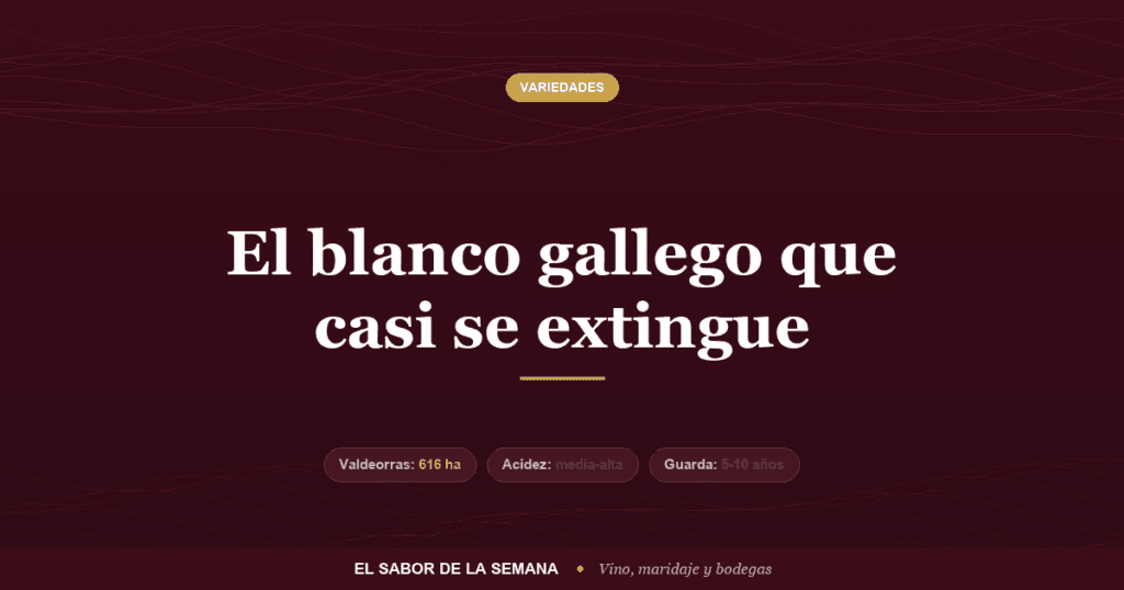 Uva godello de Valdeorras