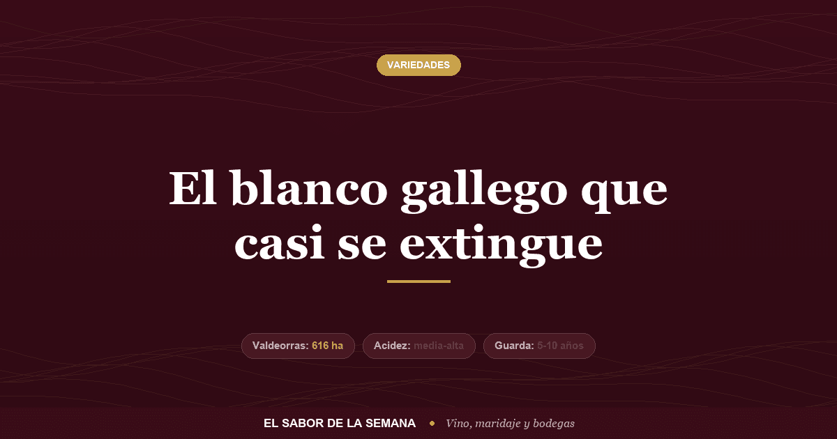 Uva godello de Valdeorras